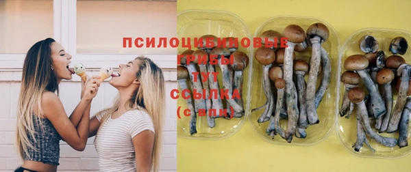МДПВ Медвежьегорск