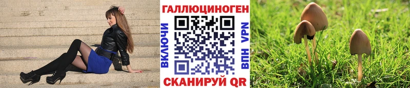 Галлюциногенные грибы GOLDEN TEACHER  Купить  Сургут 